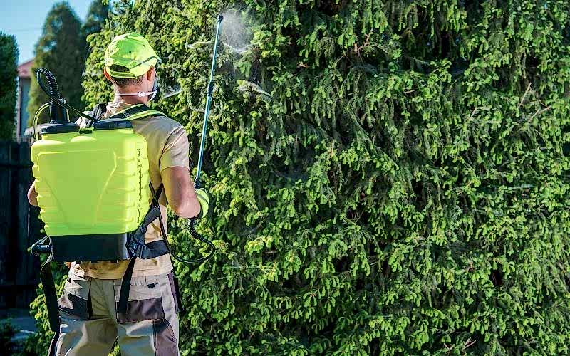 Bahçe İlaçlama Hizmetleri