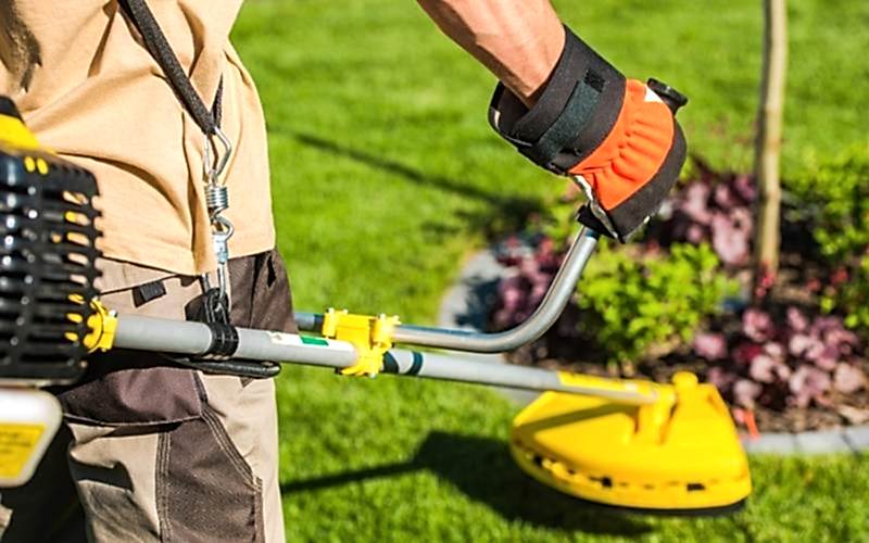 Periyodik Bahçe Bakımı