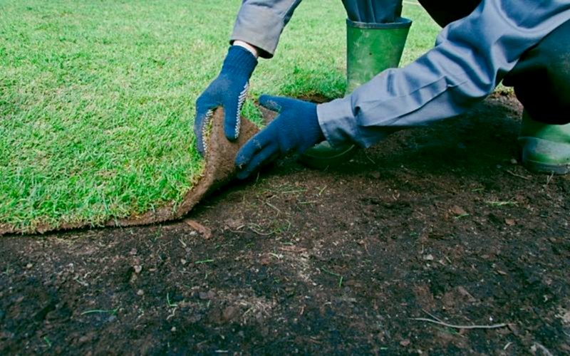 Rulo (Hazır) Çim Uygulaması
