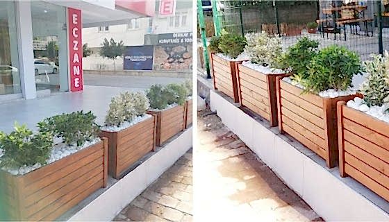 Balbadem Eczanesi - Saksı Çalışması