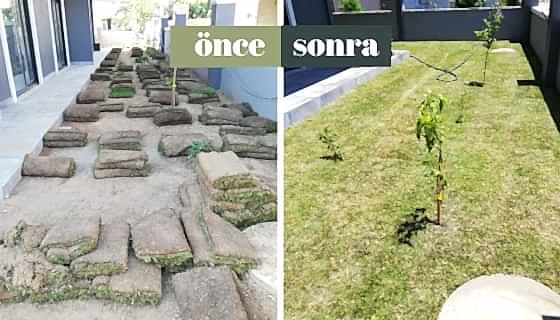 Kundu Rulo Çim Uygulamamız