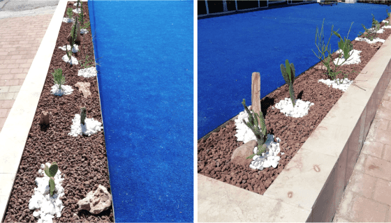 Altıntaş Sıradışı Emlak - Saksı Peyzaj Çalışmamız